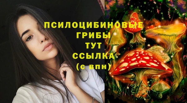 мяу мяу кристалл Баксан