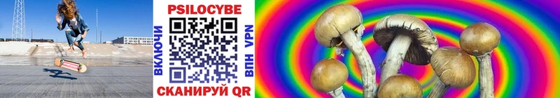 Галлюциногенные грибы мицелий Обь